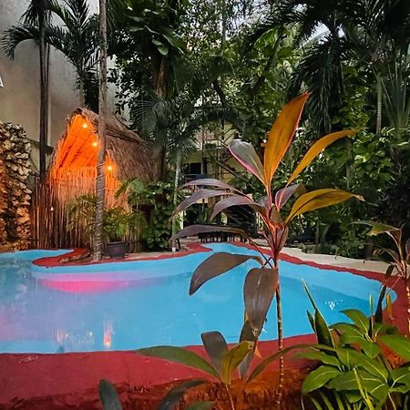 Hotel B&B - 5Th Avenue Playa del Carmen Exterior foto The swimming pool at the hotel