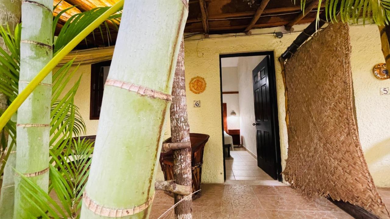 Hotel B&B - 5Th Avenue Playa del Carmen Exterior foto A room at the hotel