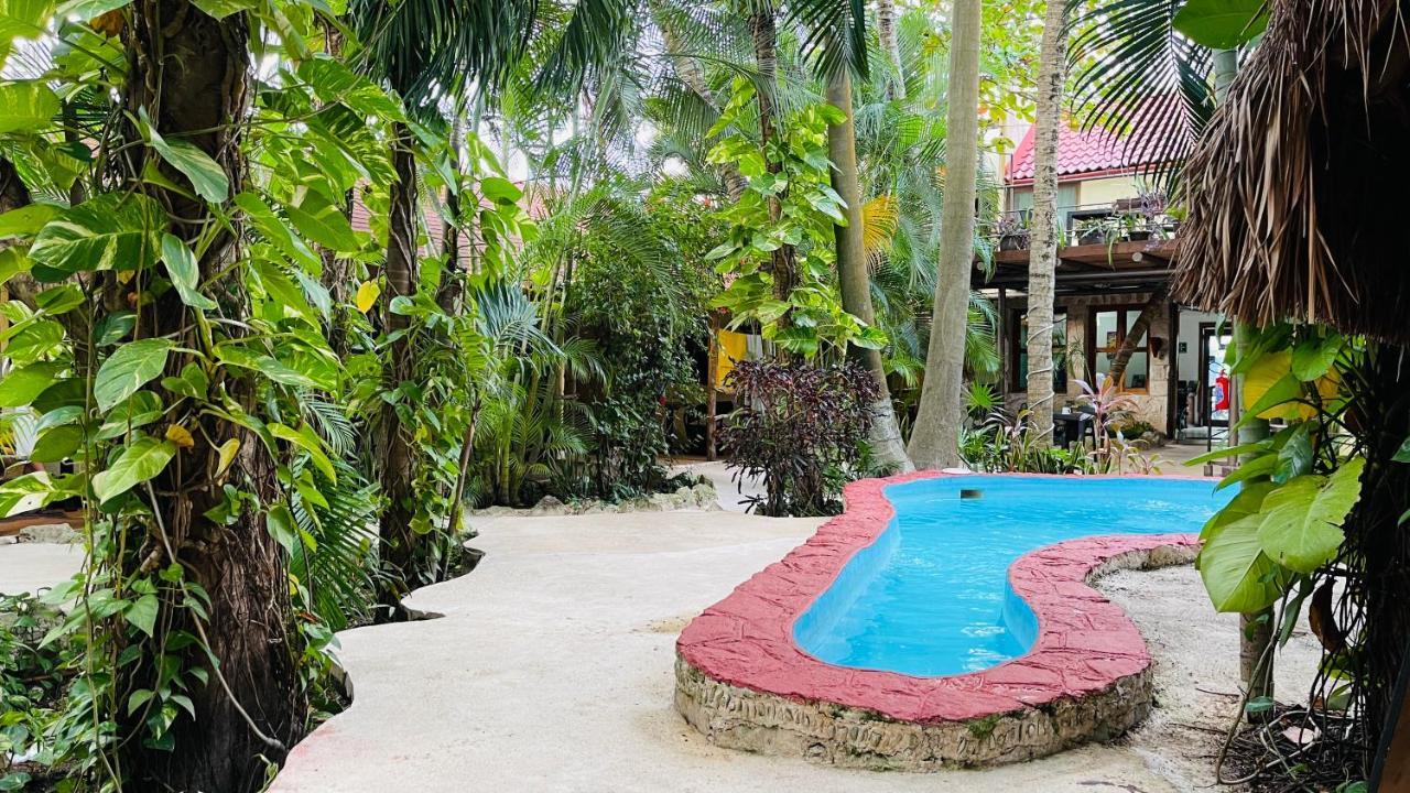 Hotel B&B - 5Th Avenue Playa del Carmen Exterior foto The pool at the Jungle Island Resort