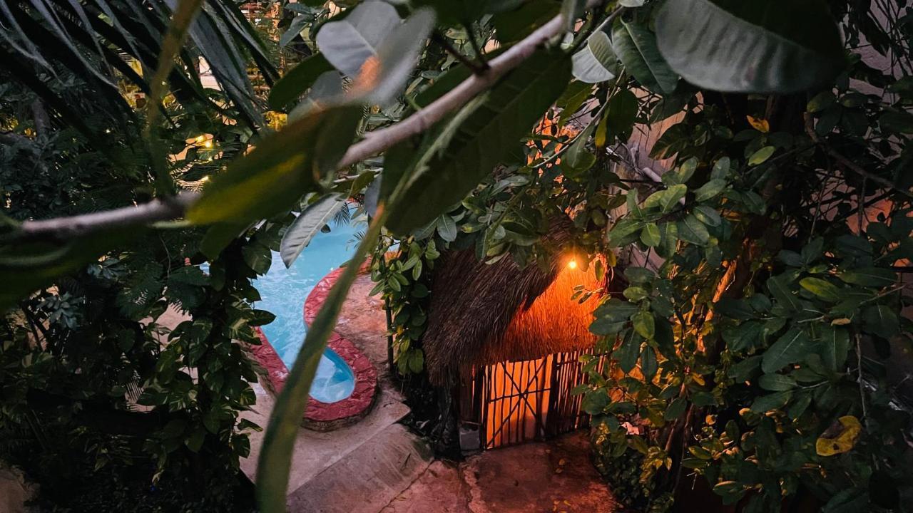 Hotel B&B - 5Th Avenue Playa del Carmen Exterior foto Entrance to the Jungle