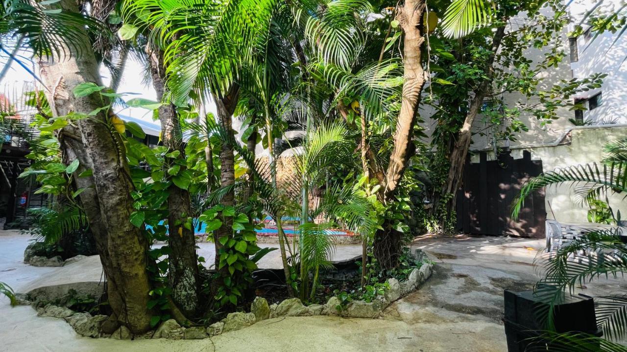 Hotel B&B - 5Th Avenue Playa del Carmen Exterior foto The Jungle