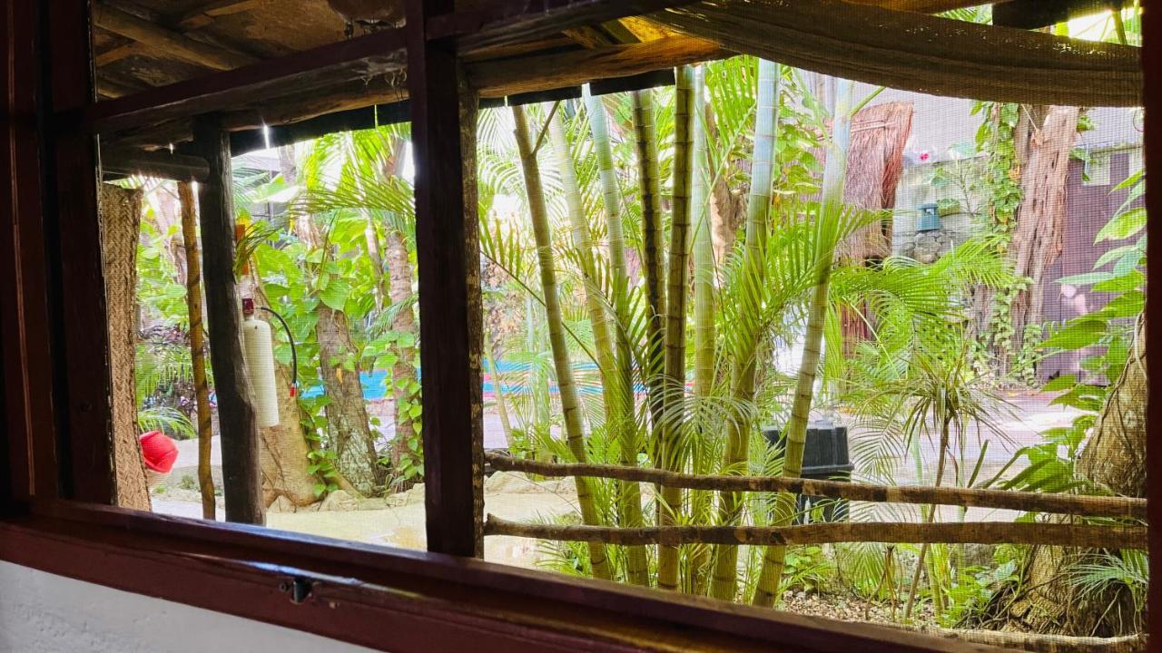 Hotel B&B - 5Th Avenue Playa del Carmen Exterior foto Bamboo forest at the zoo