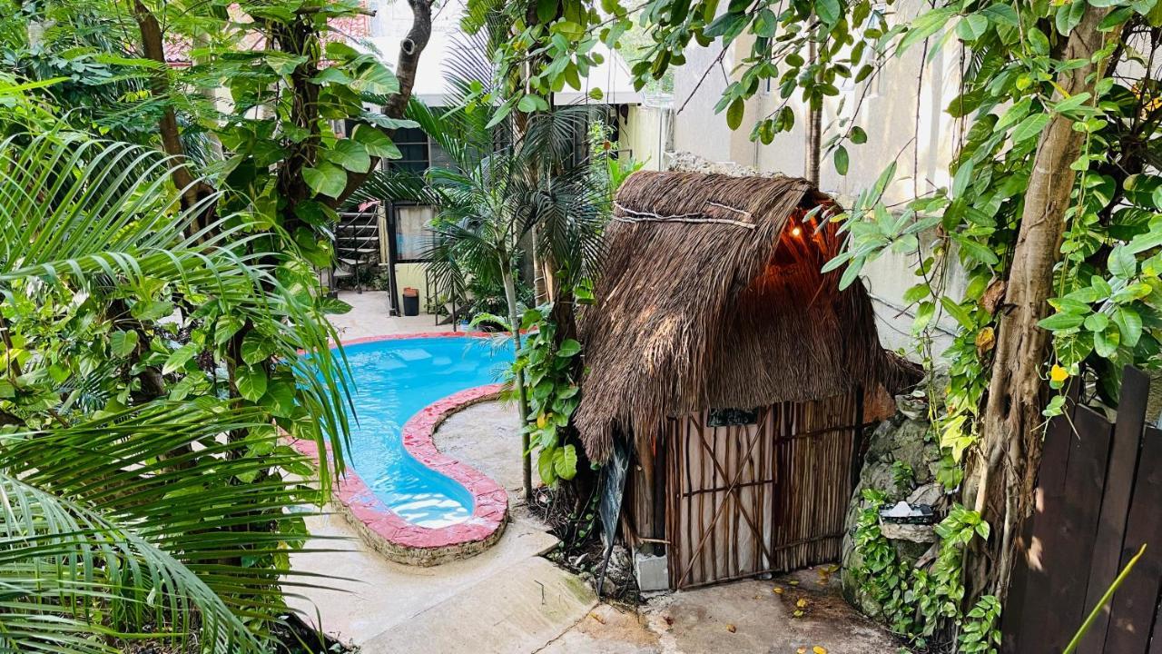 Hotel B&B - 5Th Avenue Playa del Carmen Exterior foto A cenote in Tulum, Mexico