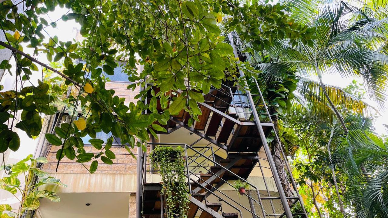 Hotel B&B - 5Th Avenue Playa del Carmen Exterior foto The staircase