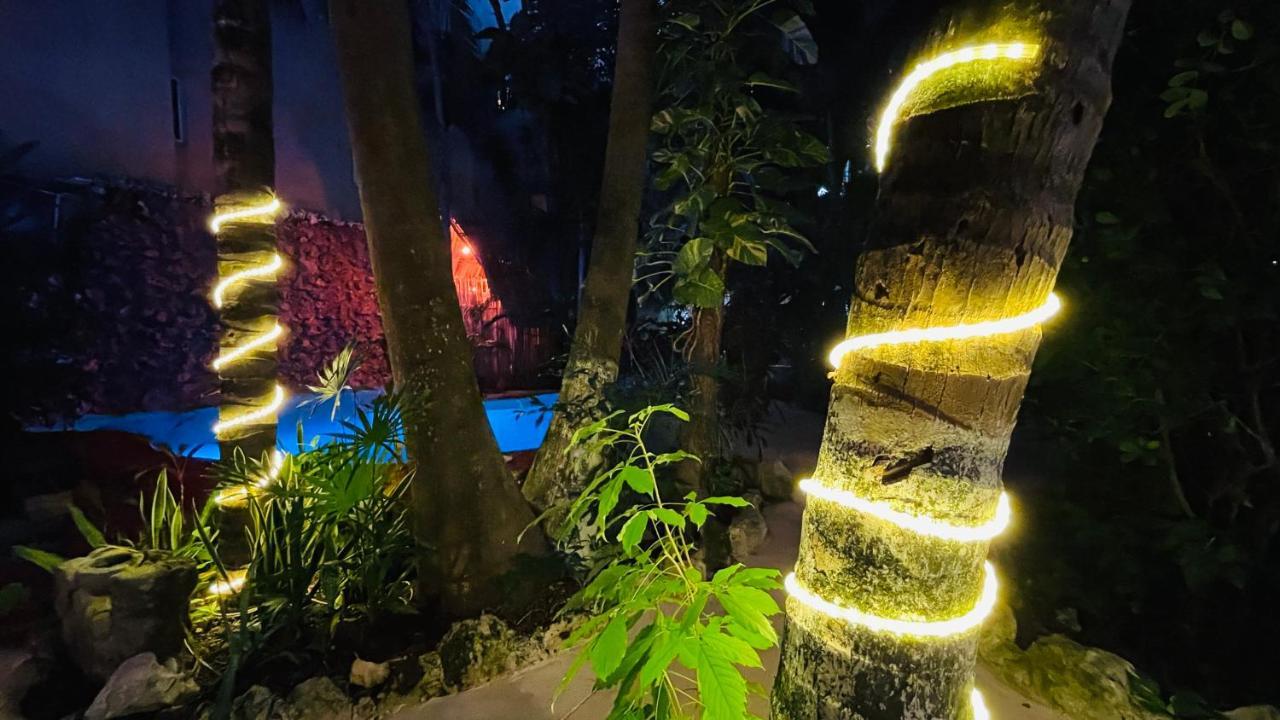Hotel B&B - 5Th Avenue Playa del Carmen Exterior foto The resort at night